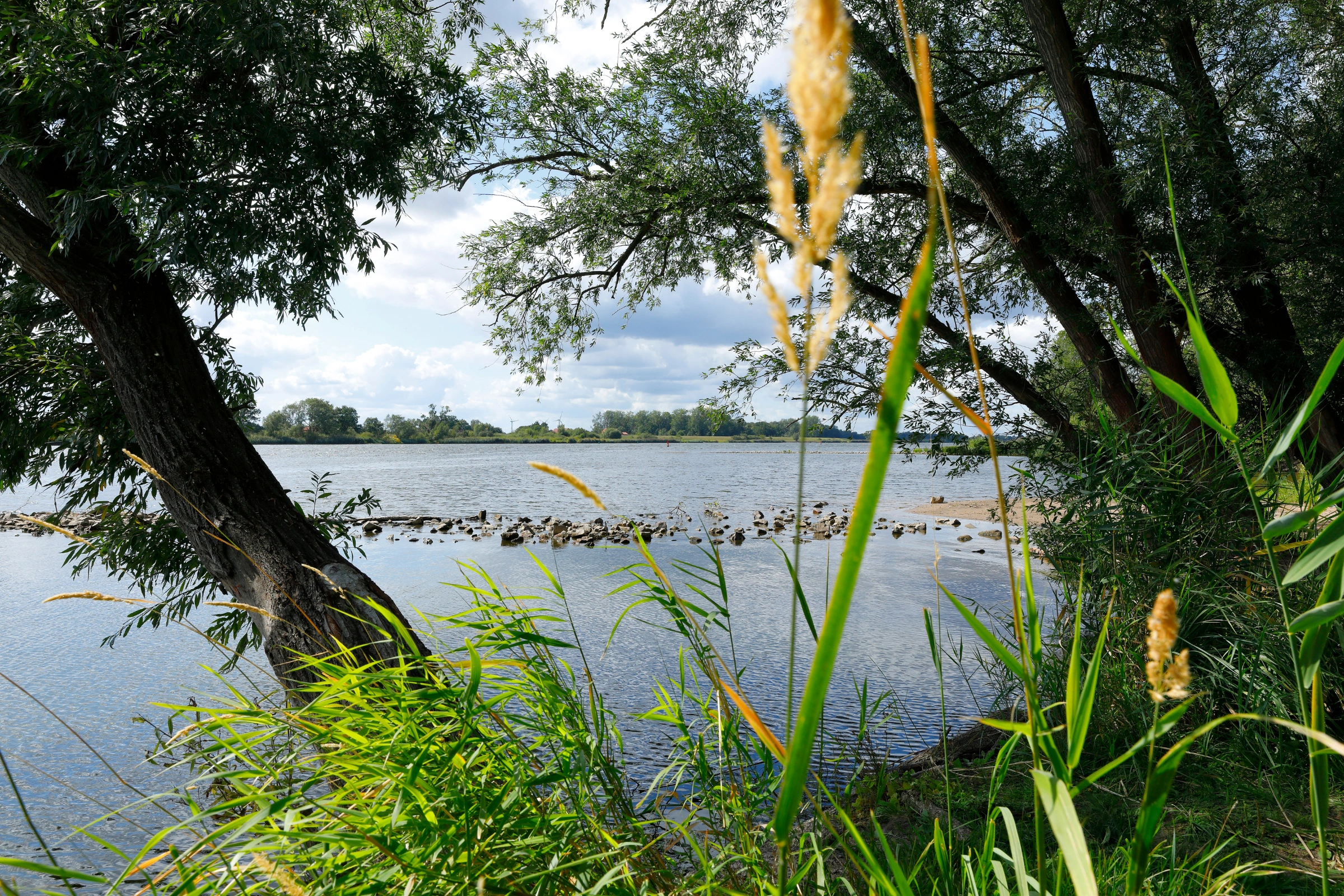 Lauenburg[1] (1).webp
